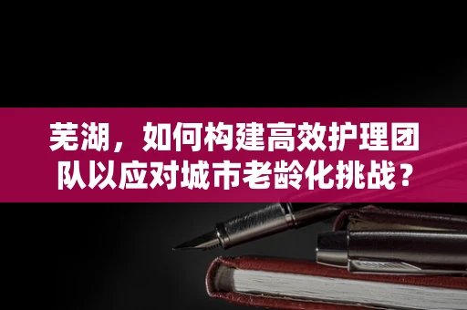 芜湖，如何构建高效护理团队以应对城市老龄化挑战？