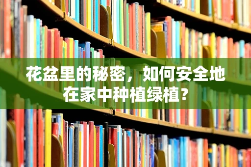 花盆里的秘密，如何安全地在家中种植绿植？