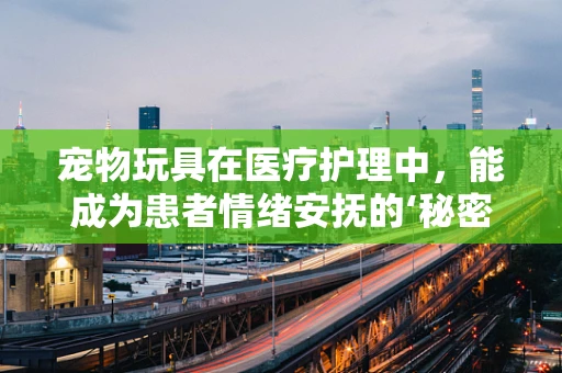 宠物玩具在医疗护理中，能成为患者情绪安抚的‘秘密武器’吗？