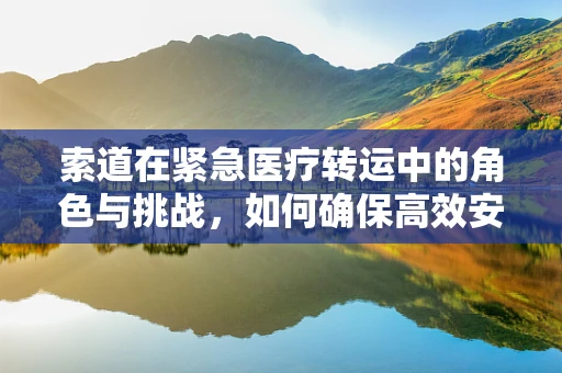 索道在紧急医疗转运中的角色与挑战，如何确保高效安全？