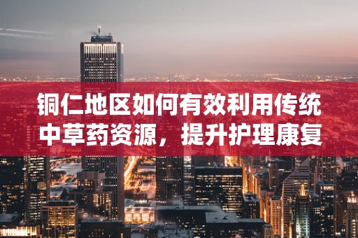 铜仁地区如何有效利用传统中草药资源，提升护理康复服务？