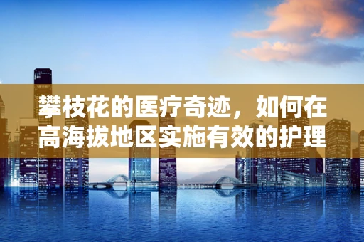 攀枝花的医疗奇迹，如何在高海拔地区实施有效的护理干预？