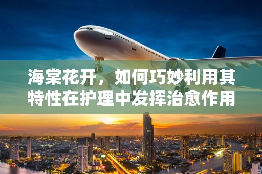 海棠花开，如何巧妙利用其特性在护理中发挥治愈作用？