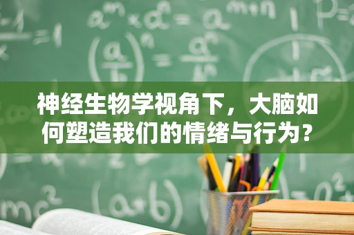 神经生物学视角下，大脑如何塑造我们的情绪与行为？
