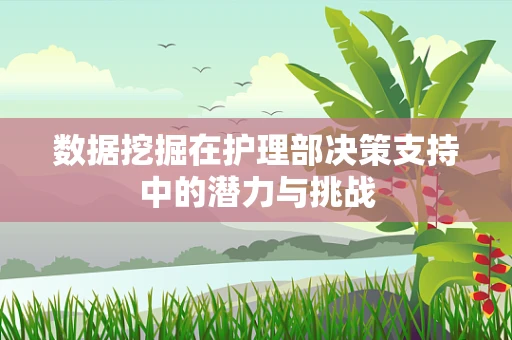 数据挖掘在护理部决策支持中的潜力与挑战