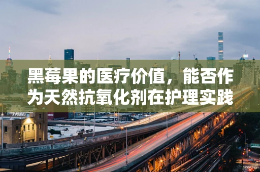 黑莓果的医疗价值，能否作为天然抗氧化剂在护理实践中应用？