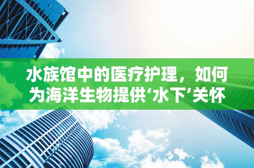 水族馆中的医疗护理，如何为海洋生物提供‘水下’关怀？