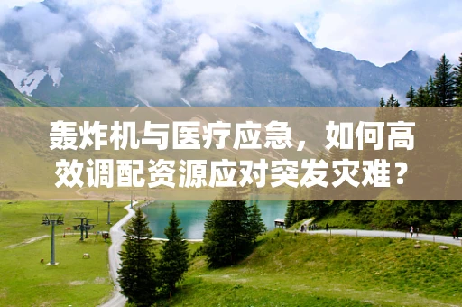 轰炸机与医疗应急，如何高效调配资源应对突发灾难？