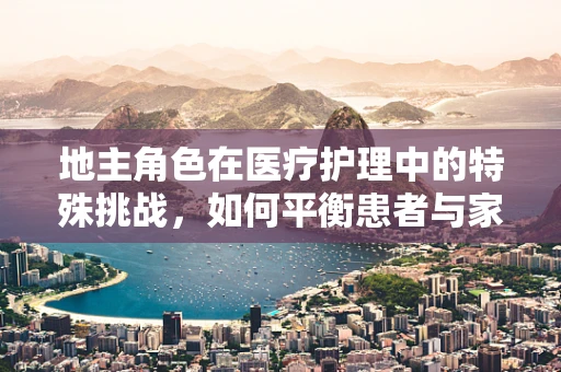 地主角色在医疗护理中的特殊挑战，如何平衡患者与家庭地主的期望？