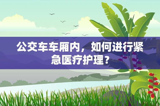 公交车车厢内，如何进行紧急医疗护理？