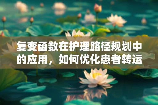 复变函数在护理路径规划中的应用，如何优化患者转运流程？