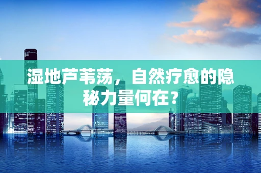 湿地芦苇荡，自然疗愈的隐秘力量何在？