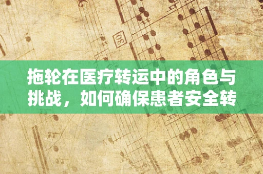 拖轮在医疗转运中的角色与挑战，如何确保患者安全转移？