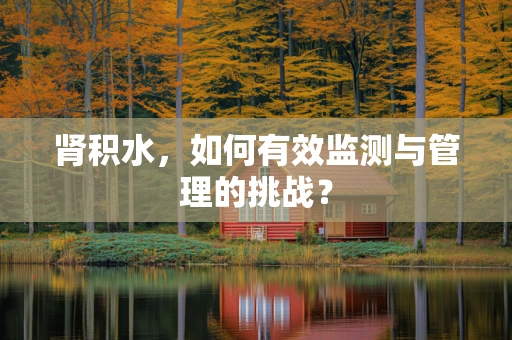 肾积水，如何有效监测与管理的挑战？