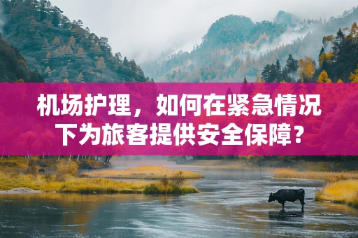 机场护理，如何在紧急情况下为旅客提供安全保障？
