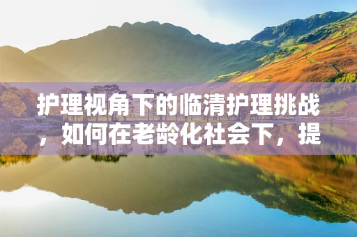 护理视角下的临清护理挑战，如何在老龄化社会下，提升社区老年人的居家护理质量？
