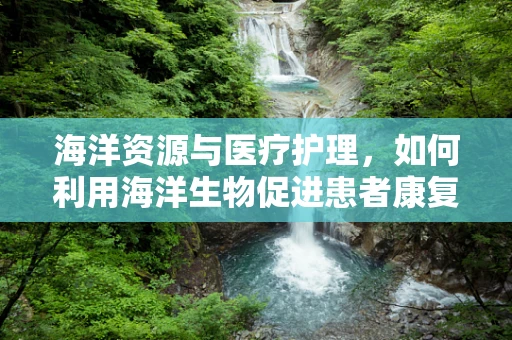 海洋资源与医疗护理，如何利用海洋生物促进患者康复？