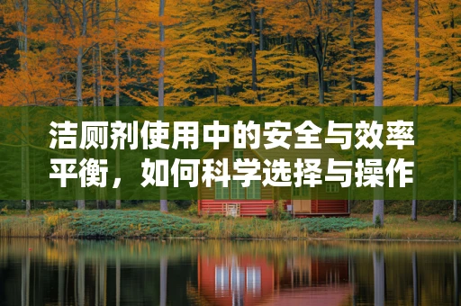 洁厕剂使用中的安全与效率平衡，如何科学选择与操作？