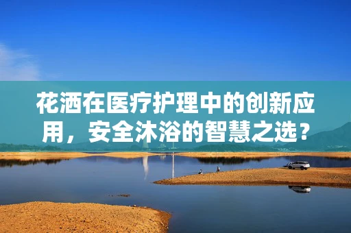 花洒在医疗护理中的创新应用，安全沐浴的智慧之选？