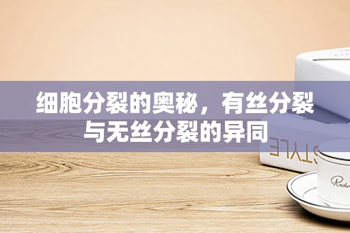 细胞分裂的奥秘，有丝分裂与无丝分裂的异同