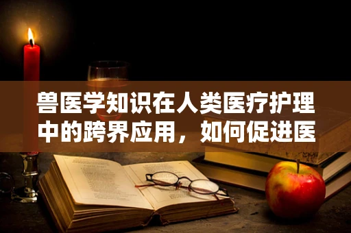 兽医学知识在人类医疗护理中的跨界应用，如何促进医患沟通与理解？