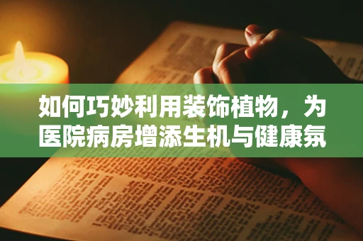 如何巧妙利用装饰植物，为医院病房增添生机与健康氛围？