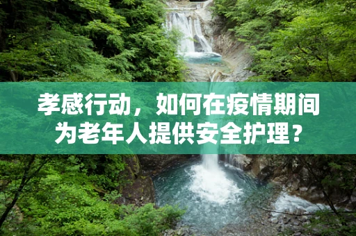 孝感行动，如何在疫情期间为老年人提供安全护理？
