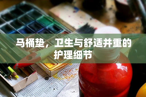马桶垫，卫生与舒适并重的护理细节