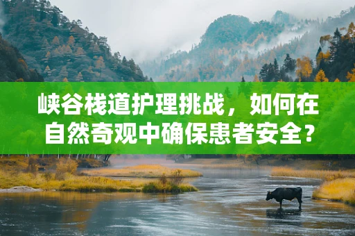 峡谷栈道护理挑战，如何在自然奇观中确保患者安全？