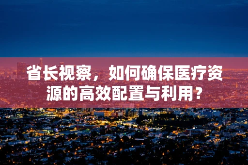 省长视察，如何确保医疗资源的高效配置与利用？
