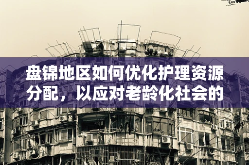 盘锦地区如何优化护理资源分配，以应对老龄化社会的挑战？