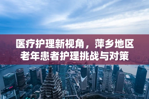 医疗护理新视角，萍乡地区老年患者护理挑战与对策