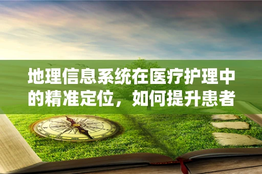 地理信息系统在医疗护理中的精准定位，如何提升患者护理效率？