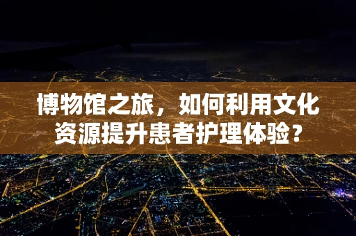 博物馆之旅，如何利用文化资源提升患者护理体验？