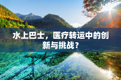 水上巴士，医疗转运中的创新与挑战？