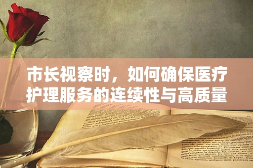 市长视察时，如何确保医疗护理服务的连续性与高质量？