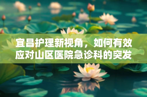 宜昌护理新视角，如何有效应对山区医院急诊科的突发情况？
