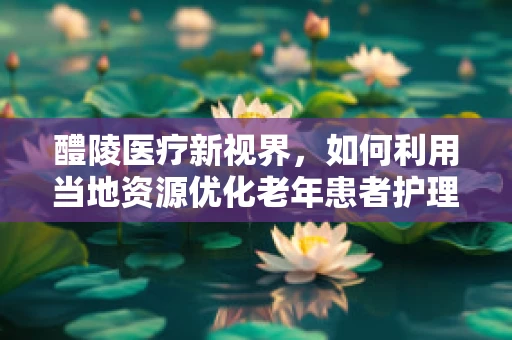 醴陵医疗新视界，如何利用当地资源优化老年患者护理服务？