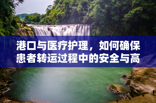 港口与医疗护理，如何确保患者转运过程中的安全与高效？