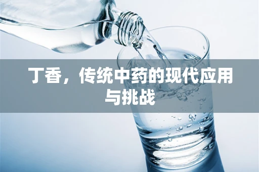 丁香，传统中药的现代应用与挑战