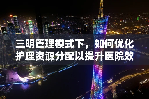 三明管理模式下，如何优化护理资源分配以提升医院效率？