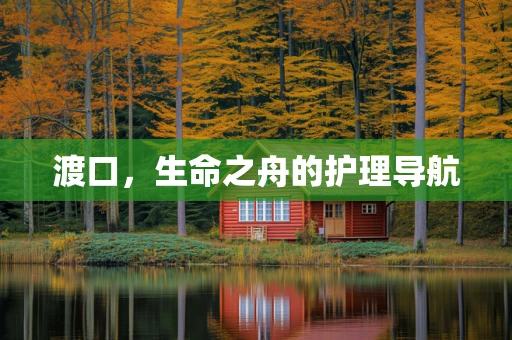渡口，生命之舟的护理导航