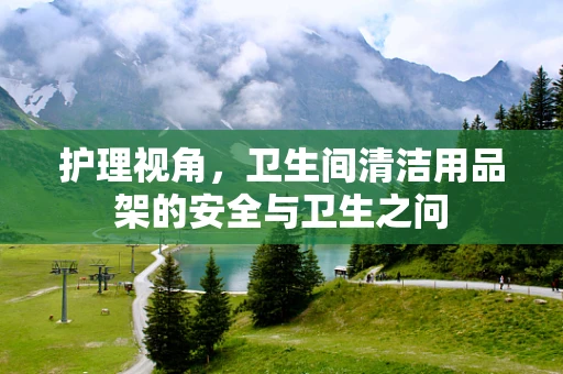 护理视角，卫生间清洁用品架的安全与卫生之问