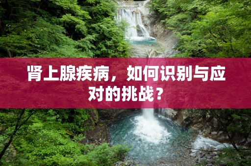 肾上腺疾病，如何识别与应对的挑战？