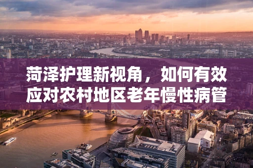 菏泽护理新视角，如何有效应对农村地区老年慢性病管理挑战？