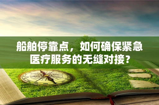 船舶停靠点，如何确保紧急医疗服务的无缝对接？