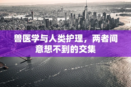 兽医学与人类护理，两者间意想不到的交集