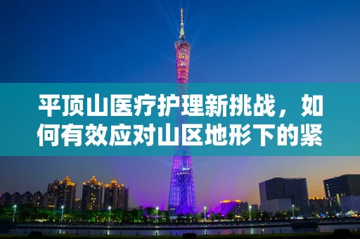 平顶山医疗护理新挑战，如何有效应对山区地形下的紧急救援？