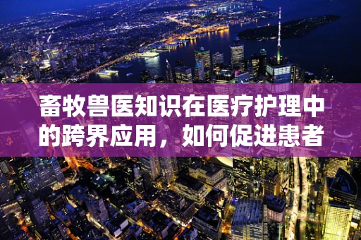 畜牧兽医知识在医疗护理中的跨界应用，如何促进患者康复？