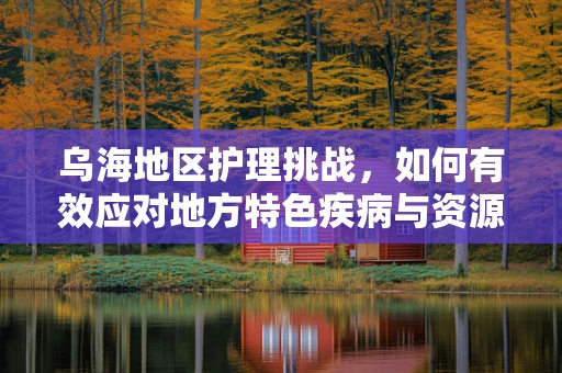 乌海地区护理挑战，如何有效应对地方特色疾病与资源分配问题？